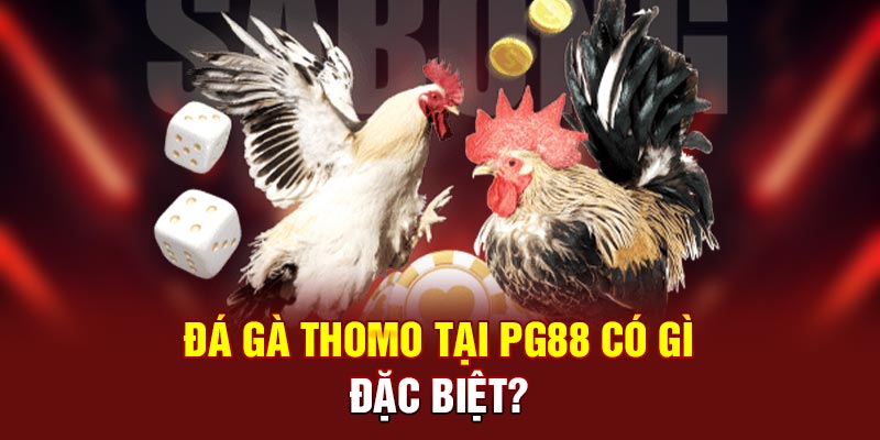 Đá gà Thomo tại PG88 có gì đặc biệt?